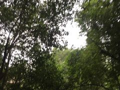 -西安市长乐公园