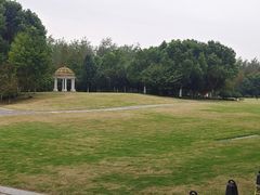 -合肥滨湖国家森林公园