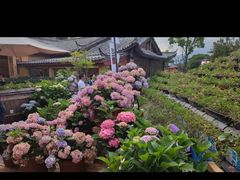 -内涵饵块