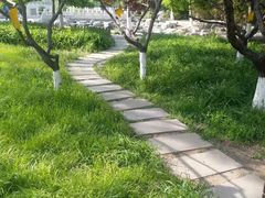 -莲花池公园