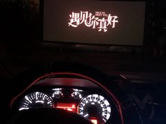 -枫花园汽车电影院(朝阳公园店)