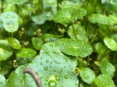 -宁波市保国寺古建筑博物馆