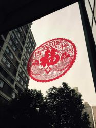 -复旦大学附属妇产科医院(杨浦院区)