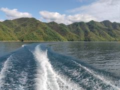 -黄山太平湖风景区