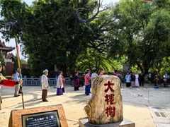 -大槐树寻根祭祖园