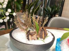 澳洲大鲍鱼-虾佬圣汤·海鲜姿造(乐堤港店)