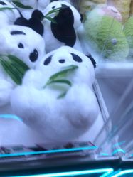 -多奇妙儿童乐园(昆山吾悦店)