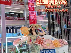 -红星美凯龙北京至尊MALL(东四环中路店)