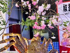 -驻海渔市(置信店)