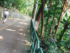 -中山公园(石岐街道)