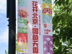 -太阳宫公园