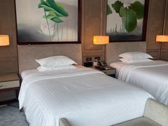 -上海嘉定喜来登酒店