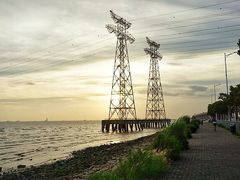 -宝安西湾红树林湿地公园