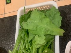 -湘肠香火锅店(团结湖店)