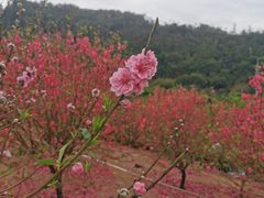 -水濂山森林公园