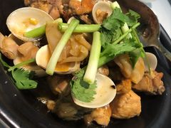 白贝花胶鸡煲-龙厨美食