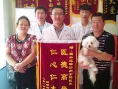 -瑞派福兴宠物医院犬猫全科·骨科·中西医结合(河东店)