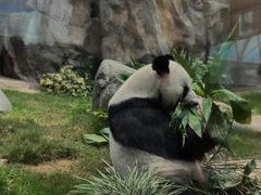 -香港海洋公园