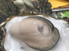 -蚝专家(北滘店)