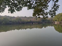 -白马涧龙池景区
