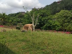 -海南文笔峰盘古文化旅游区