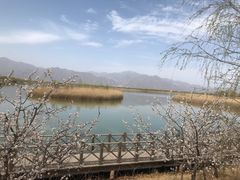 -野鸭湖国家湿地公园