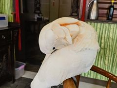 -四海楼(如皋定慧禅寺店)