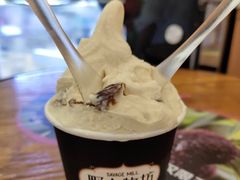-野人先生现做冰淇淋(西安赛格店)