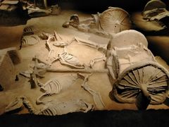 -洛阳周王城天子驾六博物馆