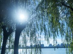 -艾溪湖湿地公园