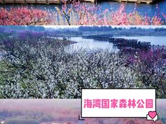 -上海海湾国家森林公园