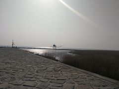 -南汇嘴观海公园