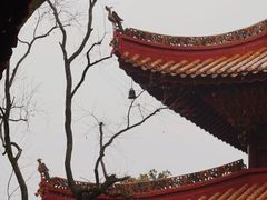 -南岳衡山风景名胜区