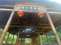 -石台牯牛降景区