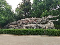 -中国扬子鳄村