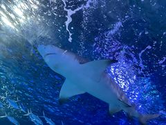 -常州海昌海洋探索馆