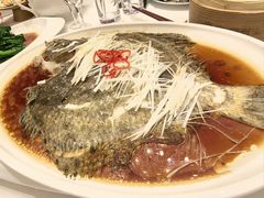 清蒸多宝鱼-全聚德(哈尔滨店)