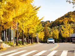 -洛阳白云山景区
