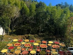 -林坑古村落