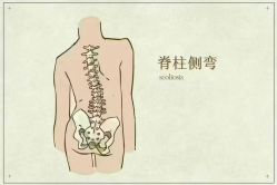 -名发世家烫染