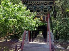 -晋祠公园