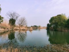 -梁鸿国家湿地公园