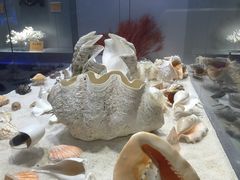 -福州罗源湾海洋世界旅游区