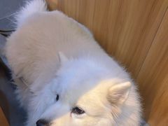 -玛嘻哒韩国料理延吉烤肉(莫邪路新天地店)