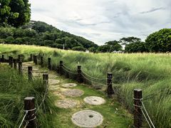 -红花山公园