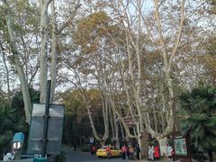 -南京十朝历史文化园-停车场