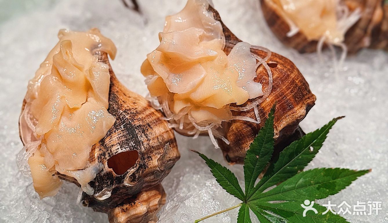 新店❗开在黄浦江邮轮上的高级餐厅🛳️