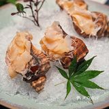 新店❗开在黄浦江邮轮上的高级餐厅🛳️