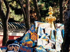 -护国法轮寺