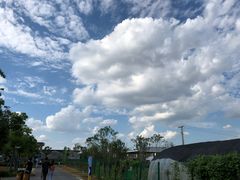 -菊园百果园